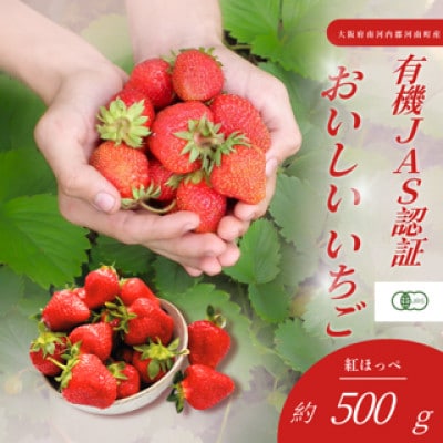 大阪府南河内郡河南町産　おいしいいちご　JAS認証いちご　約500g　24粒