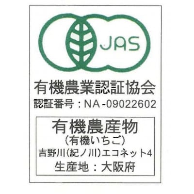 大阪府南河内郡河南町産　おいしいいちご　JAS認証いちご　約500g　24粒