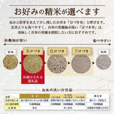 【定期便3回】30年間農薬 肥料不使用のお米 あさひ 3分づき(a63-006)