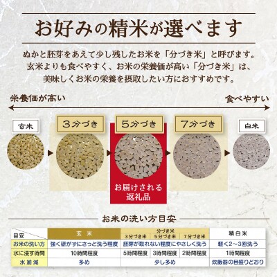 30年間農薬 肥料不使用のお米 あさひ 5分づき(a21-060)
