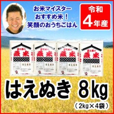 【令和4年産】山形県産はえぬき　2kg×4袋　計8kg | ふるさと納税のお礼品
