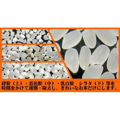 【令和4年産】お米マイスター厳選 プレミアムつや姫 2kg×3袋 計6kg