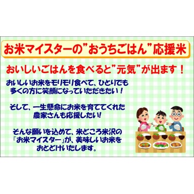 【2023年3月中旬発送】【令和4年産】山形県産雪若丸 5kg×2袋 計10kg