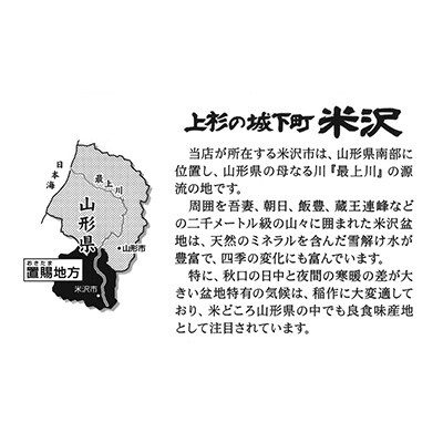 2022年11月発送開始『定期便』【令和4年産】山形県産はえぬき 5kg×2袋 計10kg全6回