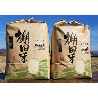 米沢米棚田米はえぬき 白米10kg(5kg×2袋)
