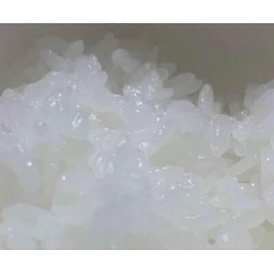 令和4年産 特別栽培米 ミルキークイーン 5kg×2袋