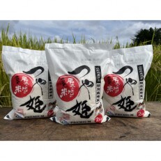 令和4年産 特別栽培米つや姫2kg3袋