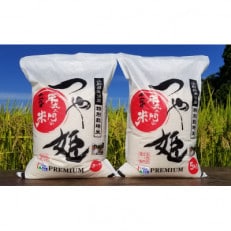 令和4年産　特別栽培米つや姫　精白米5キロ　2袋