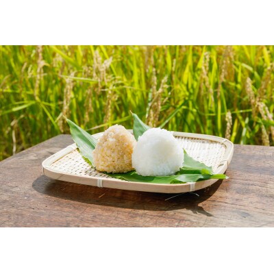 令和4年産 JAS有機栽培(転換期間中)ミルキークイーン 玄米2kg×2袋