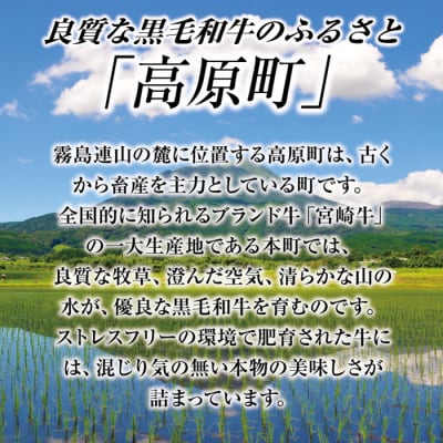 宮崎産和牛切落とし(1.5kg)　特産品番号554