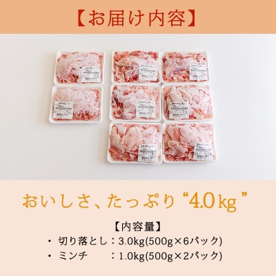 高原育ちの宮崎県産豚肉切り落とし&ミンチ4kg[アレンジ色々万能食材]　TF767