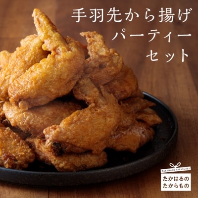 手羽先から揚げパーティセット　特産品番号431