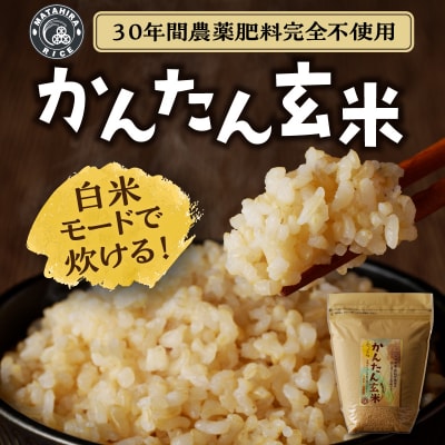 【定期便3回】かんたん玄米 無農薬 肥料不使用 2kg×3回(a54-002)