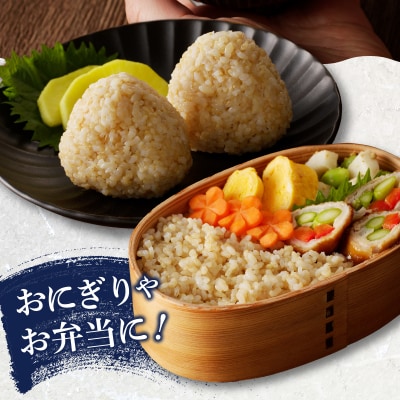 【定期便3回】かんたん玄米 無農薬 肥料不使用 2kg×3回(a54-002)