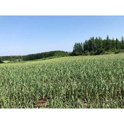 岩手山パワー にんにくピクルス 120g×2瓶