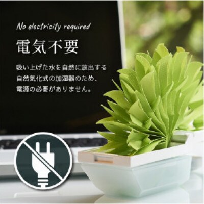 持ち運びに便利な小型加湿器「ちょこっとオアシス」(グリーン)ちゃぐぽん柄