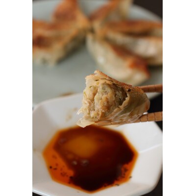 生餃子専門店ぽんぽこ　食べ比べ5種64個入冷凍生餃子(タレ付き)