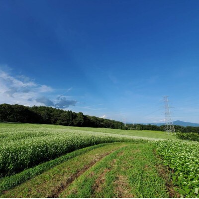 非加熱はちみつ　そば60g×4本