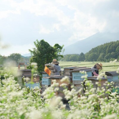 非加熱はちみつ　そば60g×4本
