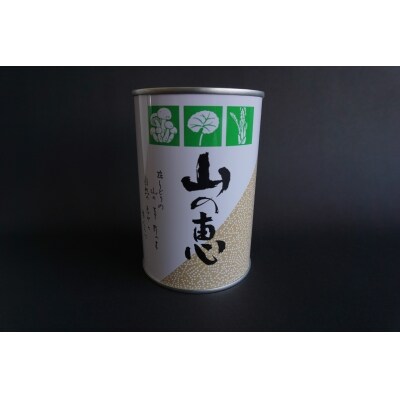 たけのこ 缶詰(根曲り筍)2缶セット　No.0549