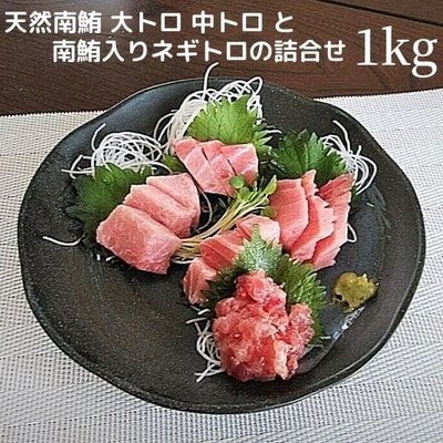 天然 南鮪 大トロ 中トロ ネギトロ の 詰合せ約1kg(a25-026)