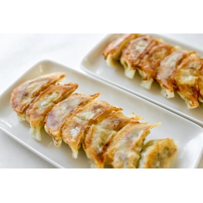 餃子 マグロ カツオ カツオ節 16個入×7袋(a18-031)