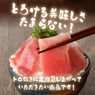南鮪中トロ　赤身セット約1.35kg　マルコ水産(a25-006)