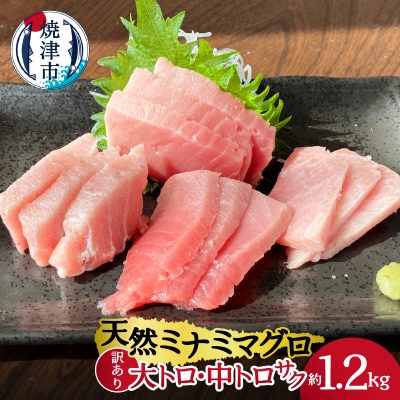 天然ミナミマグロ 訳あり 大トロ 中トロ(サク) 詰合せ 訳1,2kg入り(a30-227)