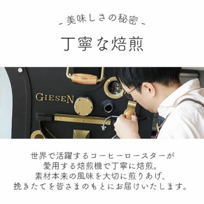 人気ドリップコーヒー　そよ風ブレンド 50杯セット　自社焙煎　辻本珈琲
