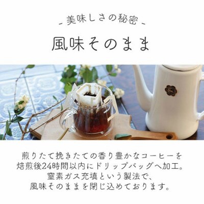 人気ドリップコーヒー　そよ風ブレンド 50杯セット　自社焙煎　辻本珈琲
