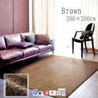 【200×200cm】ネオグラス 　カーペット 　ラグ　　カラー:ブラウン