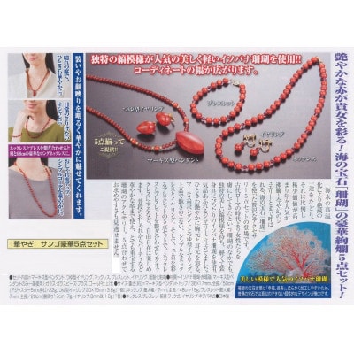 数量限定・珊瑚の豪華5点セット
