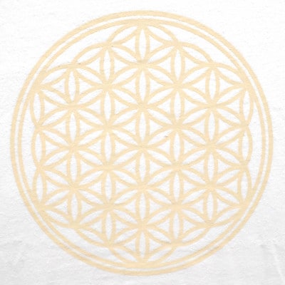Tシャツ フラワー・オブ・ライフ 姫川薬石 ヘンプ生地 (半袖 Sサイズ)