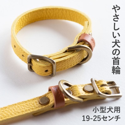首輪 本革 イタリアンレザー イエロー 小型犬用 (19-25センチ)ペット用品【dc-01ss】