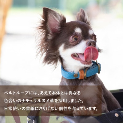 首輪 本革 イタリアンレザー イエロー 小型犬用 (19-25センチ)ペット用品【dc-01ss】