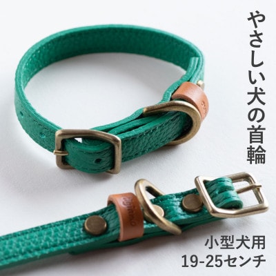 首輪 本革 イタリアンレザー グリーン 小型犬用 (19-25センチ)ペット用品【dc-01ss】