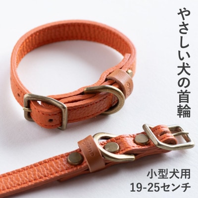 首輪 本革 イタリアンレザー オレンジ 小型犬用 (19-25センチ)ペット用品【dc-01ss】