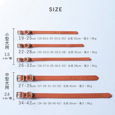 首輪 本革 イタリアンレザー ブラック 小型犬用 (19-25センチ)ペット用品【dc-01ss】