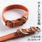 首輪 本革 イタリアンレザー オレンジ 小型犬用 (26-32センチ)ペット用品【dc-01ss】
