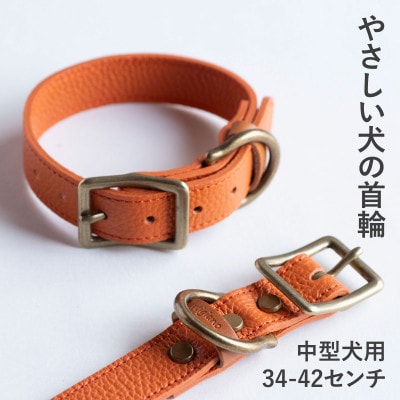 首輪 本革 イタリアンレザー オレンジ 中型犬用 (34-42センチ)ペット用品【dc-01ss】