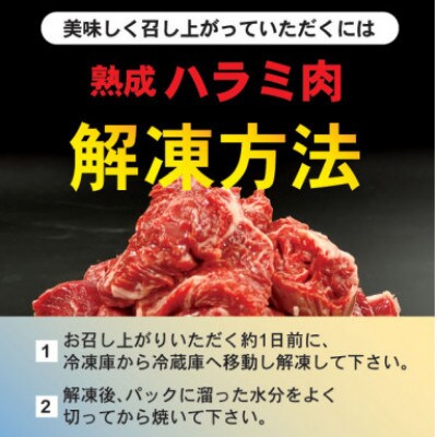 【2ヵ月毎定期便】牛肉ハラミ 1.4kg (350g×4) 老舗焼肉店秘伝のタレ仕込み 全3回