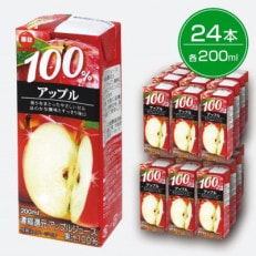 毎日牛乳 毎日100%アップル 200ml紙パック×24本入