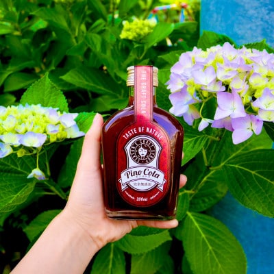 ピノコーラ2本とお取り寄せやお土産で大人気のサロンドロワイヤルのピーカンナッツチョコレートのセット　