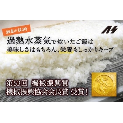 蒸気で炊いたごはん バラエティパック12個セット