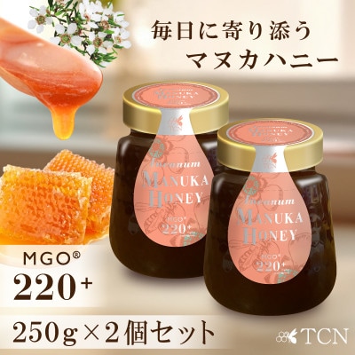 【2個セット】インカナム マヌカハニー MGO 220+ 250g