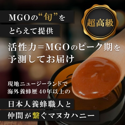 【2ヵ月毎定期便】ストロングマヌカハニー【MGO1050+】500g×1個　全6回