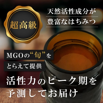 【毎月定期便】インカナム マヌカハニー【MGO550+】500g×1個　全12回