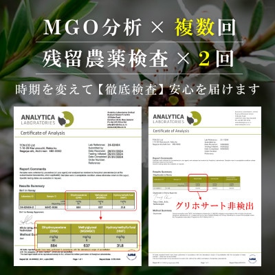 【毎月定期便】インカナム マヌカハニー【MGO550+】500g×1個　全12回