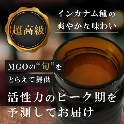 【2ヵ月毎定期便】インカナム マヌカハニー【MGO220+】250g×1個　全3回