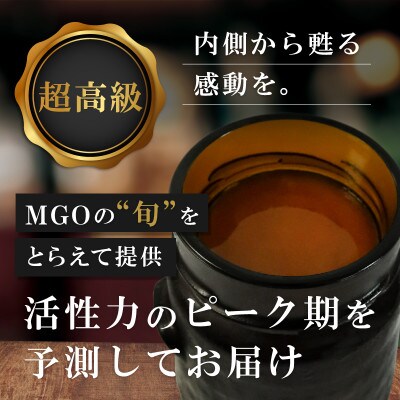 【毎月定期便】ストロングマヌカハニー【MGO860+】500g×2個　全3回